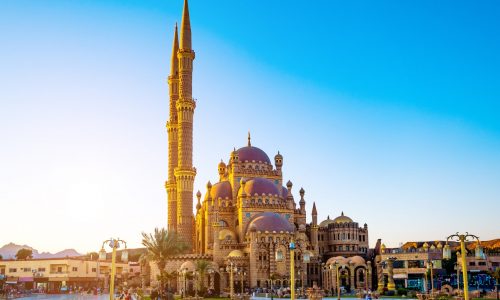 shutterstock_1467423083-min