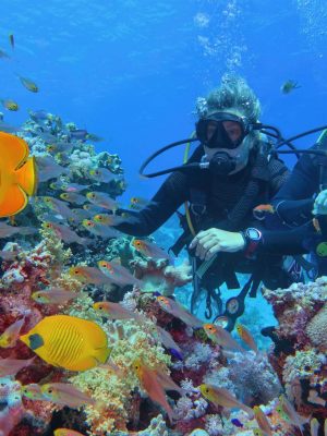 shutterstock_2094614209-min